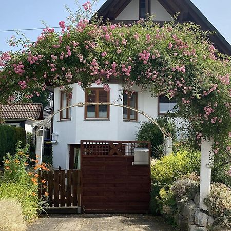 Dalea Apartment Bad Waldsee Exterior foto