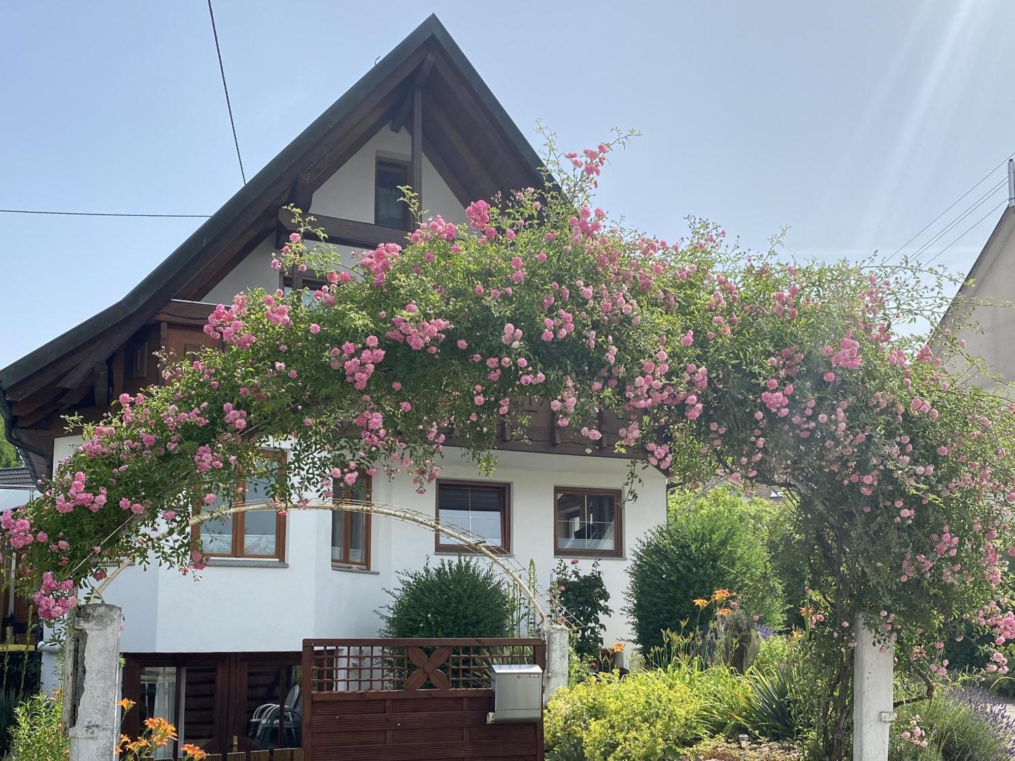 Dalea Apartment Bad Waldsee Exterior foto